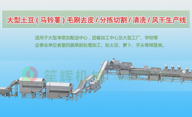 晋源连续式土豆去皮清洗切割风干生产线